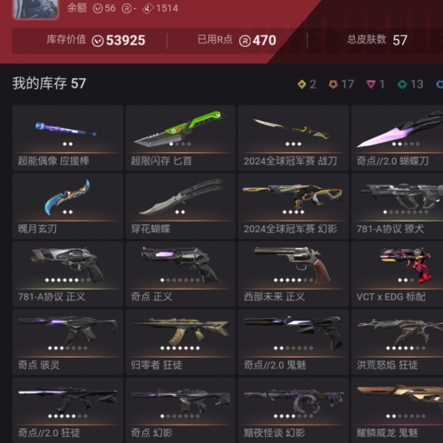 【US247-美服】24冠军/奇点套装 Vandal：流脓/异星 幻象：暗夜 其他：黑市蝴蝶/边陲正义/威龙鬼魅/EDG标配