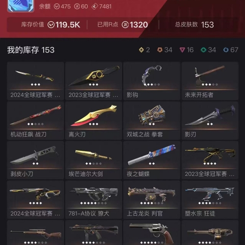 【US311-美服】23/24冠军/双城/边陲/日冕套装 离火刃 狂徒：混沌/盖亚/塑水宗/掠夺/显卡 幻象：侦察/流脓/奇点/恶鬼 其他：剥皮小刀