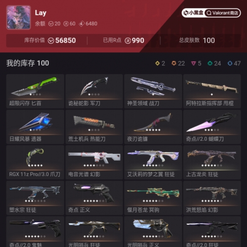 【US370-美服】暗夜/奇点2.0套装 狂徒：塑水宗/艾沃莉/龙炎/哨兵/盖亚/日冕/离子/紫金 幻象：光谱/朋克 其他：显卡爪